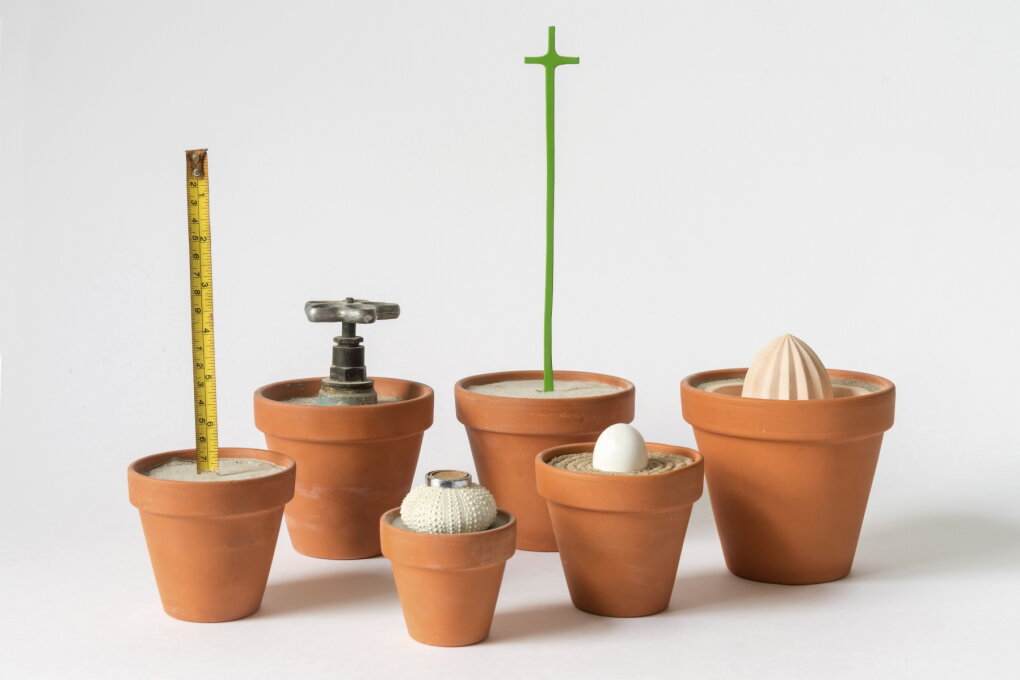 My Roots Are in a Pot